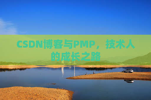 CSDN博客与PMP，技术人的成长之路